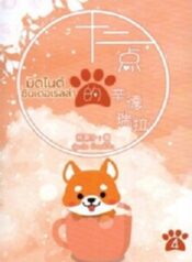 มิดไนต์ซินเดอเรลล่า500